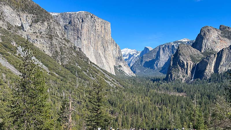MLA Charters Yosemite tours Tunnel View